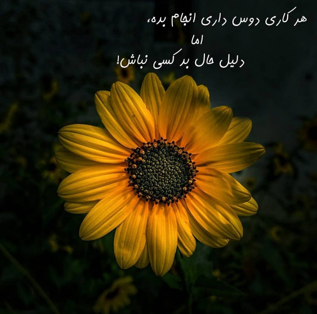 عکس شاد ️ 50 عکس پروفایل شاد سال 2020