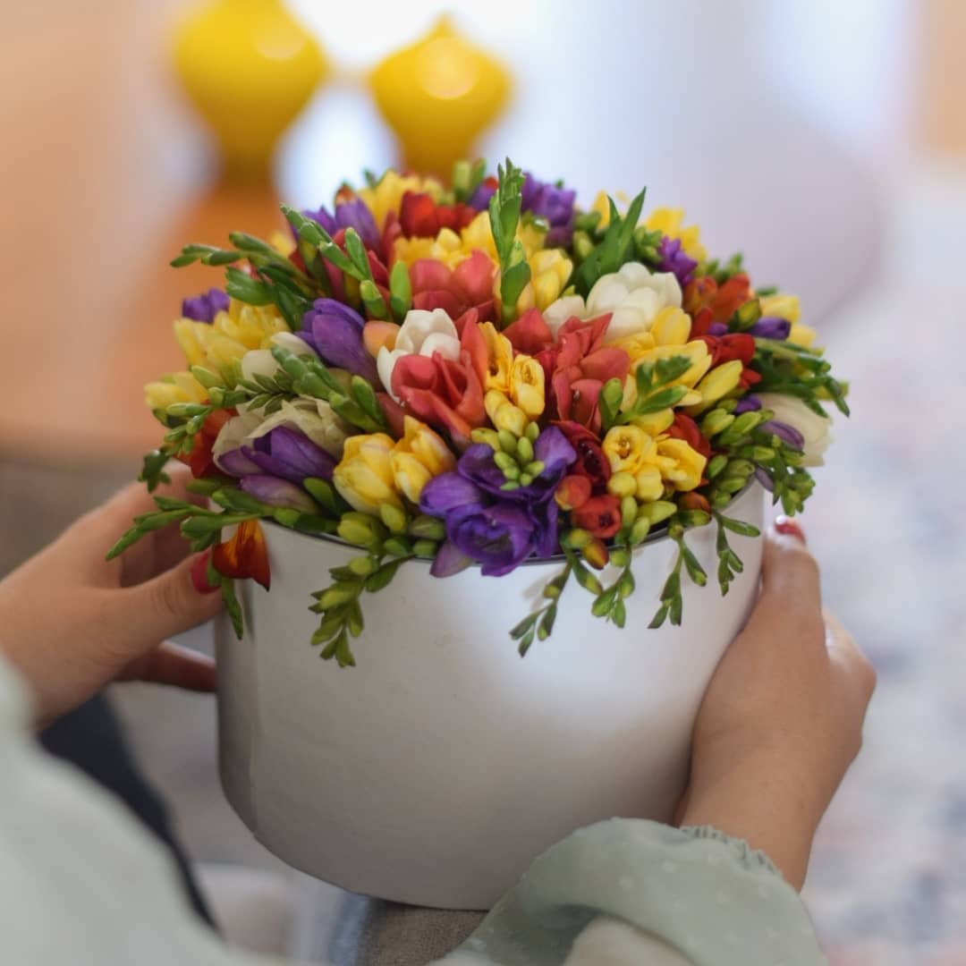 گل چیست 🌸 50 عکس انواع گل زیبا جذاب آپارتمانی زیبا